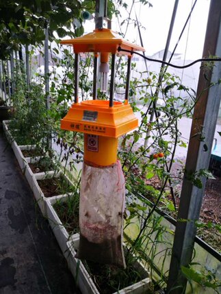 风吸式太阳能杀虫灯吸入式捕虫灭虫器果园水稻茶叶杀虫灭蚊灯神捕