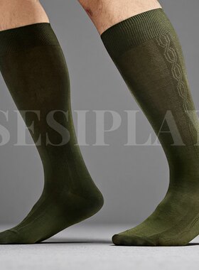 SESIPLAY：光织源系列·丝光棉正装袜