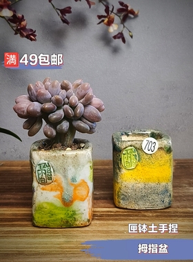 景德镇手工多肉花盆坛子姐手捏匣钵土拇指盆小高方彩色油画风肉锥