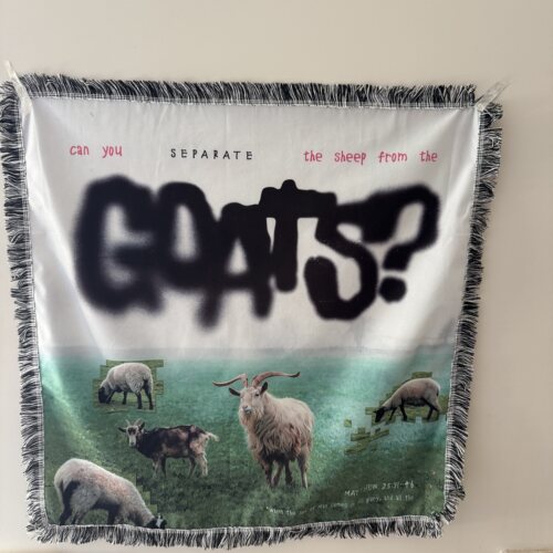 Can You Separate the Sheep from the Goats? 当代艺术 设计挂布