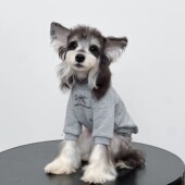 大型犬衣服拉布拉多金毛小狗泰迪比熊 时尚 宠物卫衣亲子装 春秋款