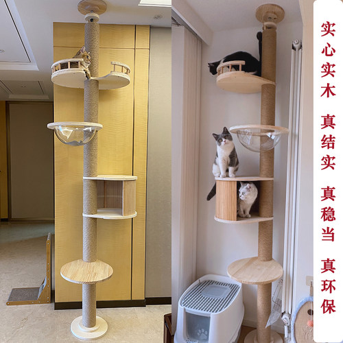 实木架猫窝猫树一体架自制