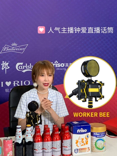 Аккуратная царя пчела королева пчела большая диафрагма конденсатор микрофон живой звукозапись