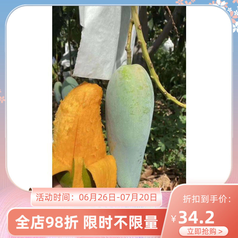 金煌芒果攀枝花米易金煌新鲜产地直发纯甜多肉大明年六月见