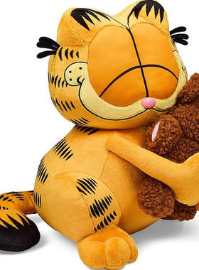 美国直邮!加菲猫和泰迪熊GARFIELD POOKY卡通潮玩毛绒公仔正品