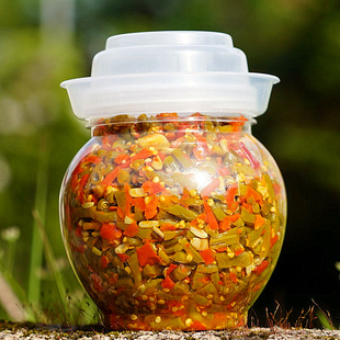 【一坛酸豆角】湖南特产农家自制剁辣椒泡豇豆酸脆下饭菜咸菜600g