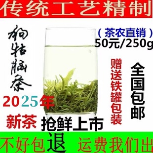 2025茶散装茶叶江西绿茶狗牯脑茶特级茶250g茶农直销包邮