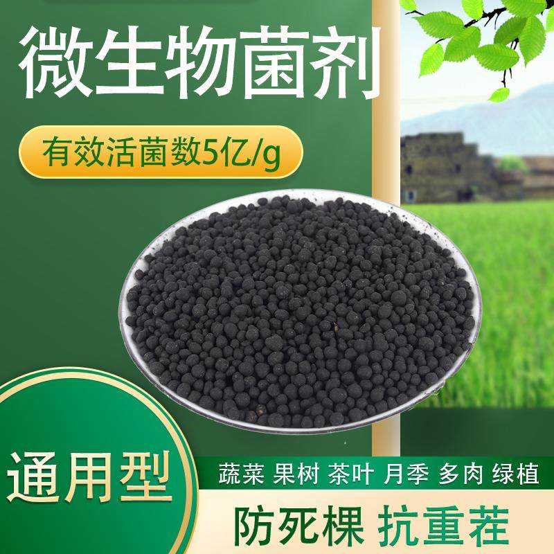 微生物菌剂菌肥颗粒缓释农家肥有机菌肥蔬菜果树通用养花肥有机肥