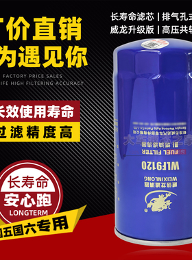 F1171-061长效柴滤X10006844适配云内D25TCIE-110078柴油滤芯9120