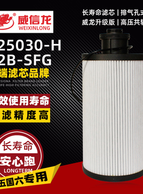 FS20258大炮滤芯适配天龙旗舰KX油水分离器滤芯1125030-H02B0-SFG