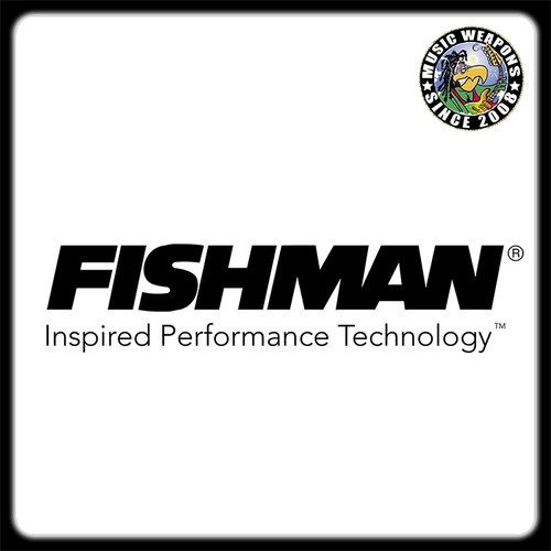 FishmanFluence拾音器