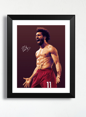 萨拉赫艺术油画怒吼新款实木制相框装饰照片墙卧室挂墙壁画桌摆件