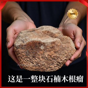 意大利进口石楠木根瘤大块带瘤皮烟斗原料DIY大师烟斗制作工道具