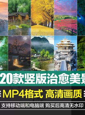 竖版山水河流下雨雪景落叶自然森林治愈美景色直播背景短视频素材