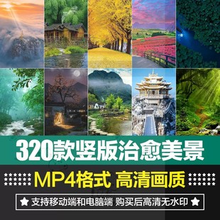 竖版 山水河流下雨雪景落叶自然森林治愈美景色直播背景短视频素材