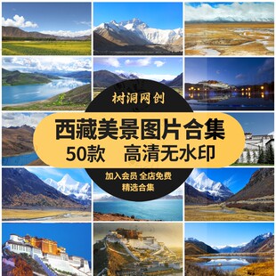 高清西藏风景布达拉宫雪山湖泊蓝天白云草原实拍背景设计图片素材