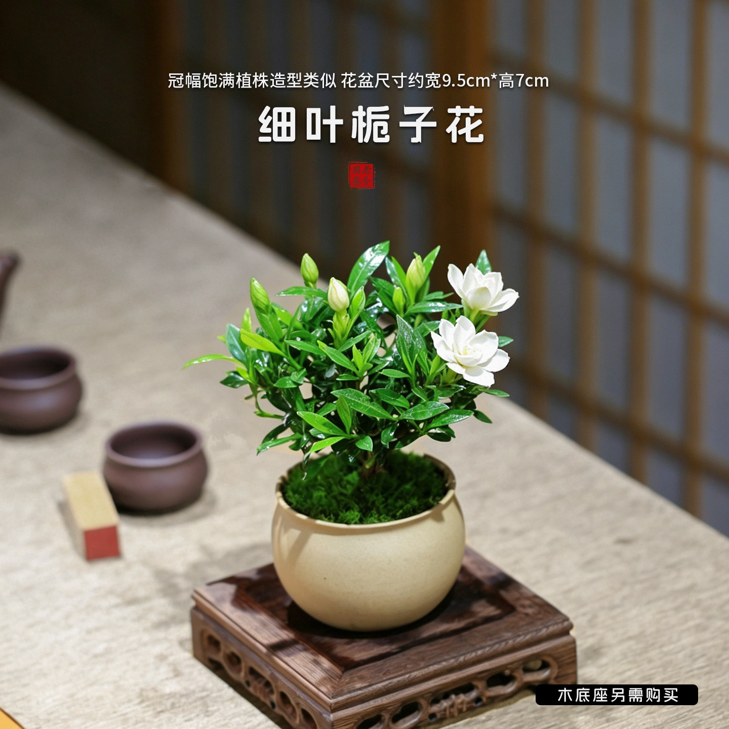 栀子花盆栽四季办公室开花室内外热小盆栽绿植含盆造型好花卉绿植