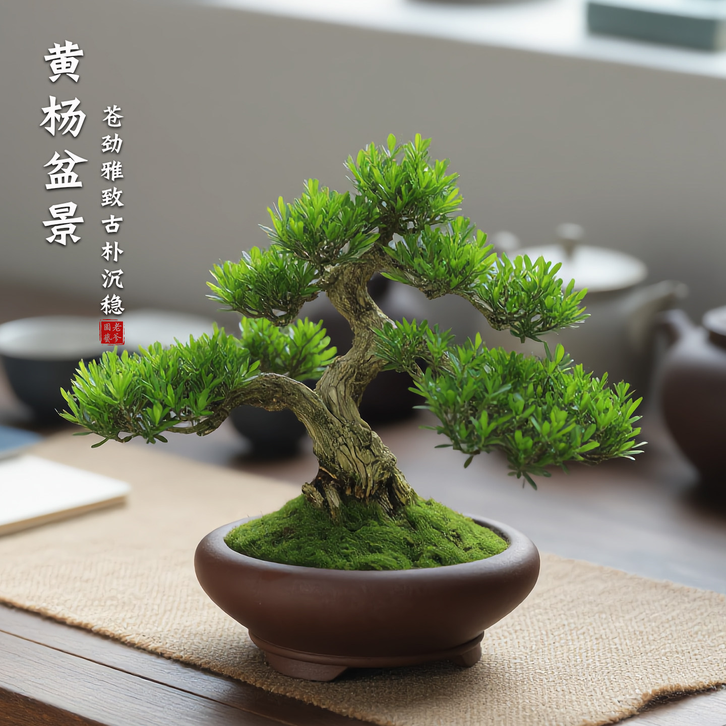 黄杨老桩矮霸造型盆景室内绿植中式禅意摆件好养耐阴常青绿植盆栽