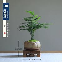 Один подарок фиолетовый песочный розовый водный тарелка