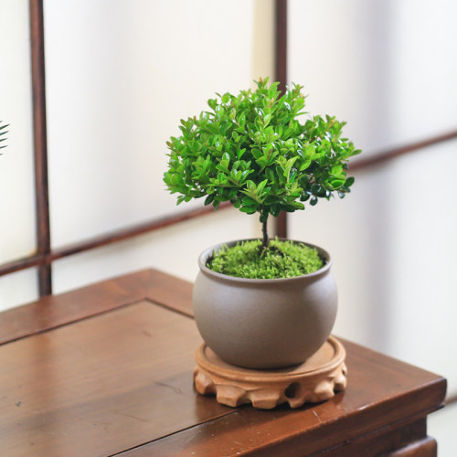 教师节礼物摆件送班主任实用礼物