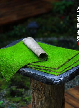 鲜活苔藓短绒藓假山造景庭院绿化迷你植物青苔皮微景观装饰植物