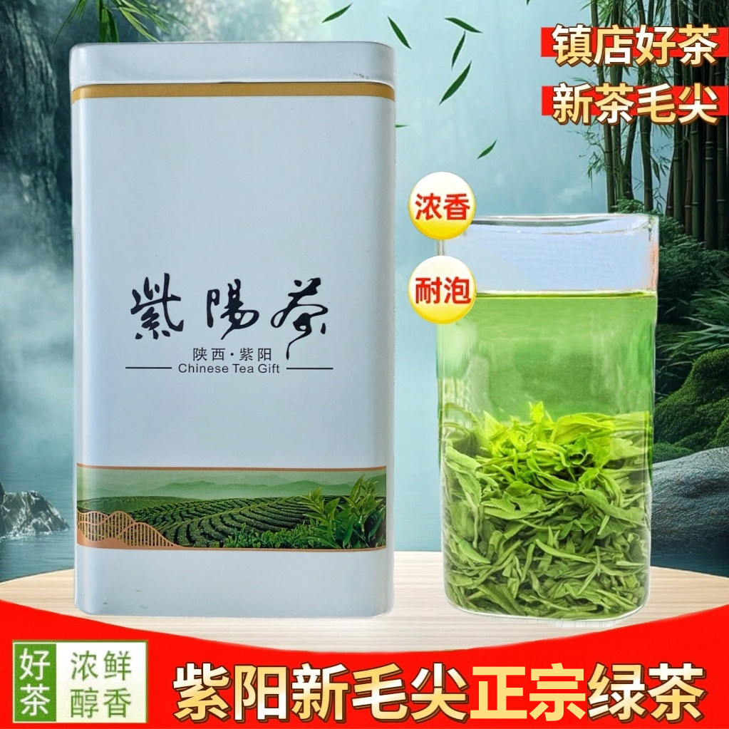 2026年明前新茶陕西安康特产毛尖正宗紫阳绿茶陕南茶泡炒青茶