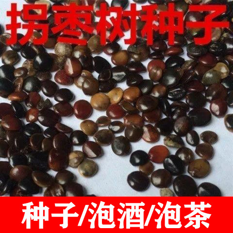 陕西安康特产正宗拐枣种子万寿果种籽泡酒枳椇子茶鸡爪子金钩梨