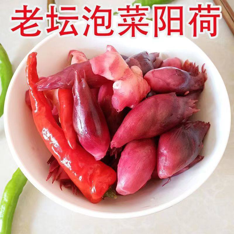 陕南安康特产酸洋荷姜新鲜泡阳荷姜蔬菜洋荷酸辣下饭菜腌制阳荷姜