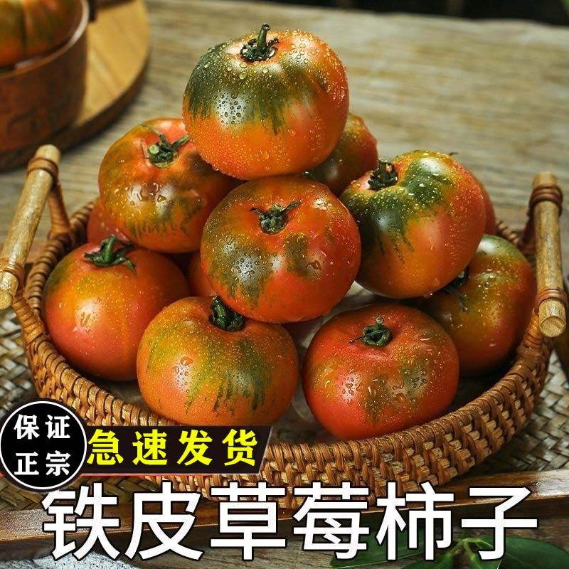 正宗丹东铁皮草莓柿子盘锦碱地即食新鲜自然熟绿腚番茄水果西红柿,水产肉类/新鲜蔬果/熟食,番茄,淘宝优惠券,粉丝福利购,淘宝优惠卷