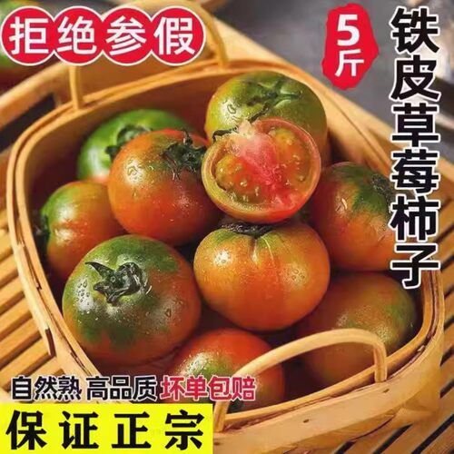 正宗铁皮草莓柿子5斤西红柿新鲜 自然熟绿肩绿腚碱地生吃水果番茄