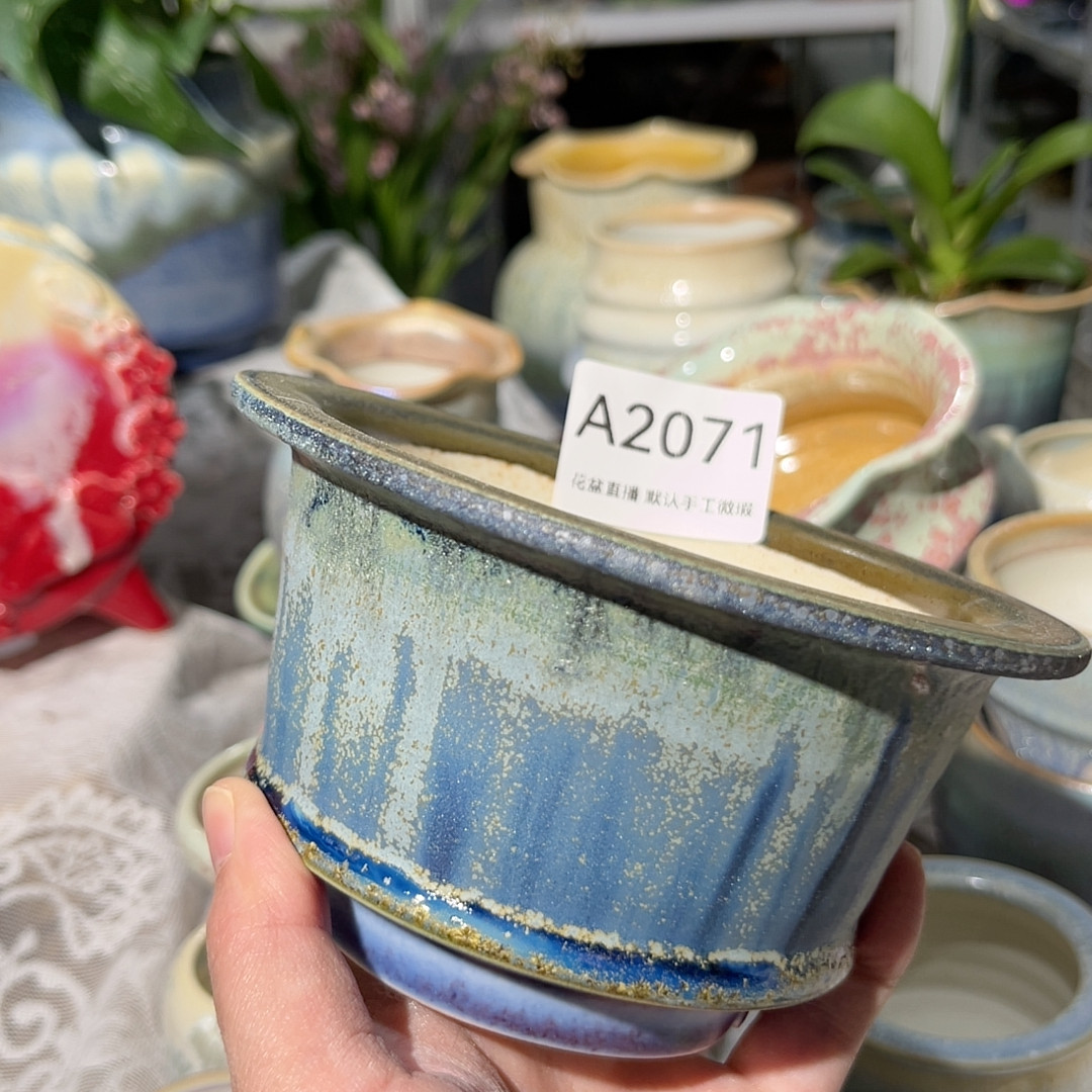 花盆,鲜花速递/花卉仿真/绿植园艺,多肉植物,淘宝优惠券,粉丝福利购,淘宝优惠卷