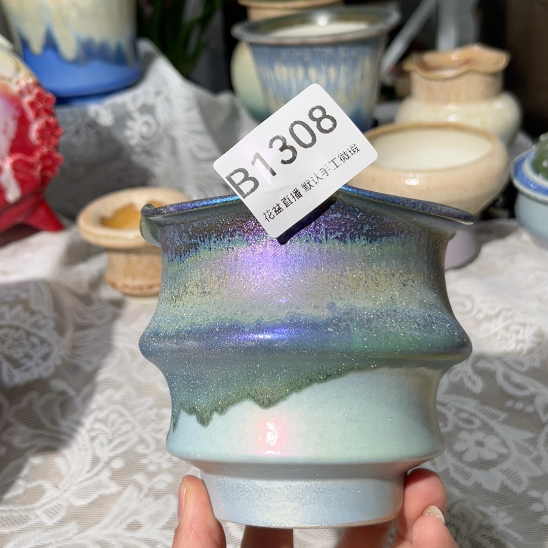 炫彩,鲜花速递/花卉仿真/绿植园艺,多肉植物,淘宝优惠券,粉丝福利购,淘宝优惠卷