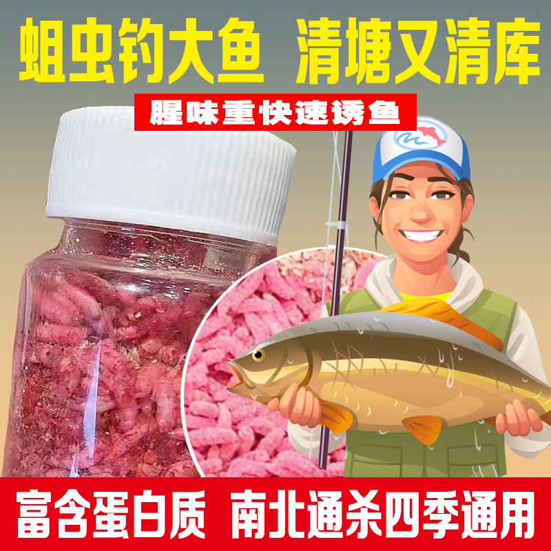 蛆虫活虫钓鱼用肉蛆红蛆红色蛆虫鱼食活饵牙子蛆鲜活鱼饵黑坑野钓