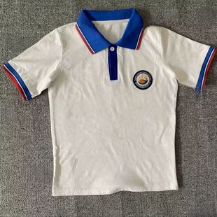 秘鲁棉 T恤上衣运动POLO衫 河北廊坊来图定制夏款 学生纯棉校服短袖