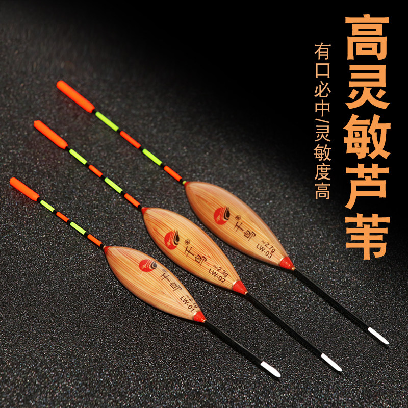 千鸟高级芦苇浅水漂鲫鱼漂小短漂冰钓打浮草洞高灵敏浮漂醒目石斑