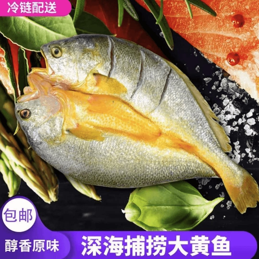 福建宁德霞浦特产黄花鱼250-400g图片