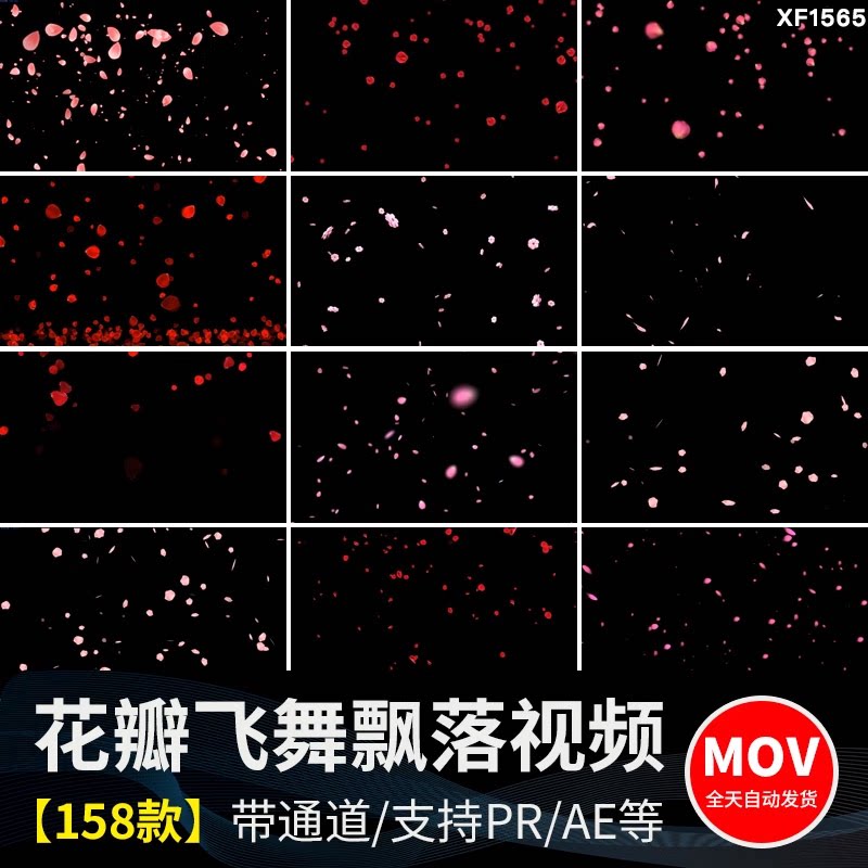 花瓣花朵飞舞飘落动态桃花玫瑰花动画pr/ae透明通道视频素材