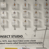 亚克力立体标本创意装 饰画幼儿园墙面装 置艺术售楼部公共互动壁饰