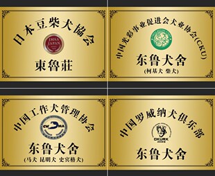 东鲁犬舍简介(运费拍此链接)