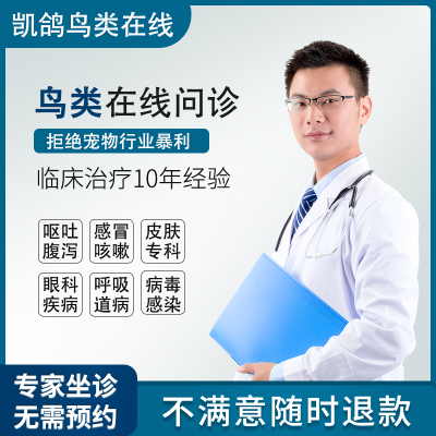 鹦鹉各种鸟类资深医生在线咨询