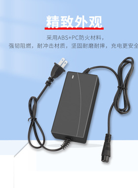 适 凤凰挚炫豹行德国palor扭扭车两轮平衡车36V42V1.5A2A充电器线