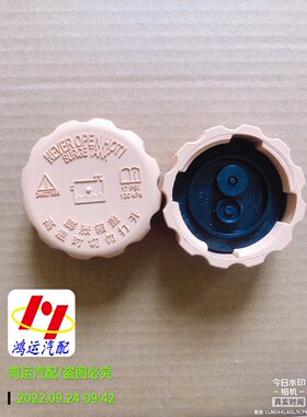 奇瑞瑞麒X1 威麟V5 X5 QQ3 A5膨胀箱盖 付水壶盖 旗云3水箱盖专用
