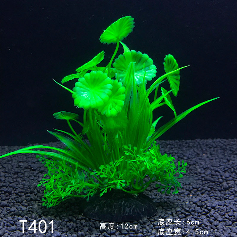 金鱼缸装饰水草素材模板 金鱼缸装饰水草图片下载 小麦优选