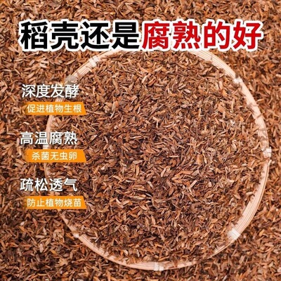 通用型发酵稻壳养花种菜疏松透气草莓营养土