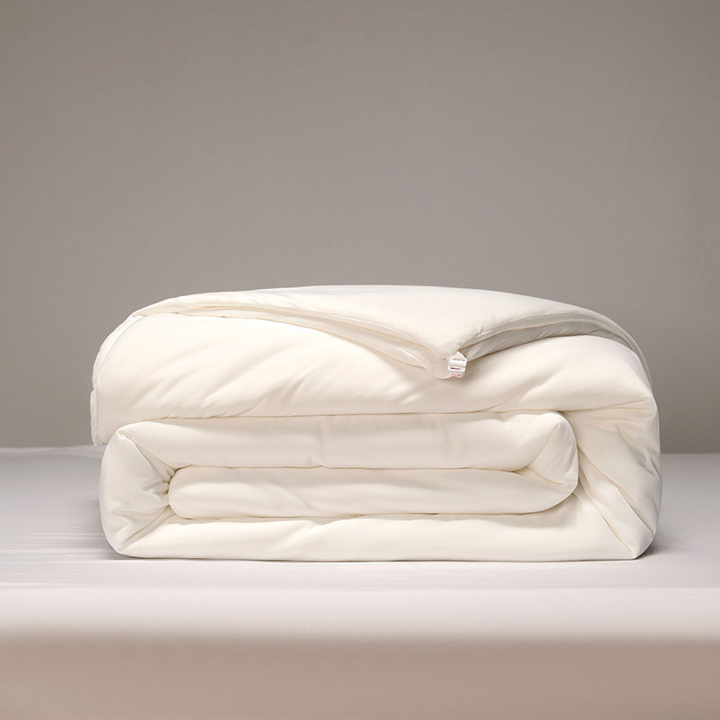 优等100%桑蚕丝被双宫茧冬被结婚庆单人被褥空调被芯长丝春秋被子,床上用品,蚕丝被,淘宝优惠券,粉丝福利购,淘宝优惠卷