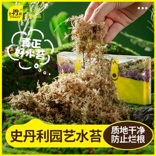 史丹利水苔蝴蝶兰专用土干苔藓养兰花的营养土优质捕蝇草催芽乌龟