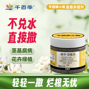 千百季小黑精甲恶霉灵土壤杀菌剂家用花卉多肉烂根黑腐根腐枯萎病
