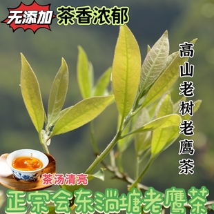 会东淌塘老树老鹰茶