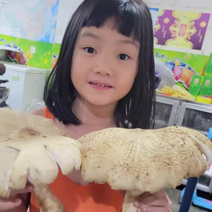 大凉山2025新鲜制作鸡枞油农家制作精选鸡枞菌