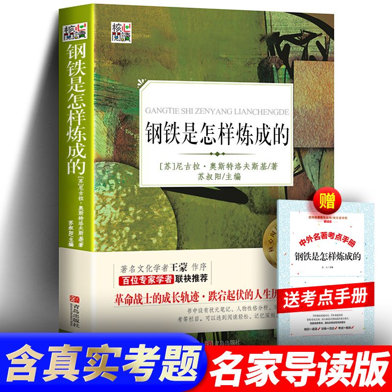 有点评和考题钢铁是怎样炼成的